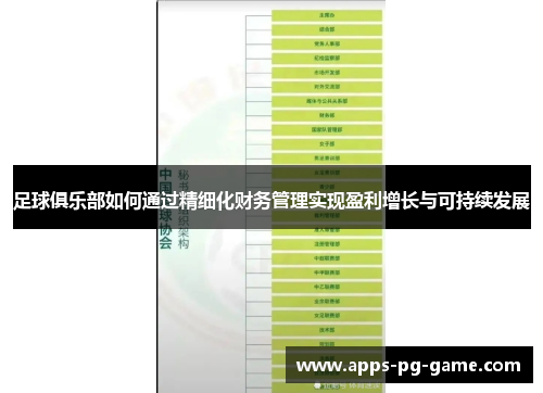 足球俱乐部如何通过精细化财务管理实现盈利增长与可持续发展