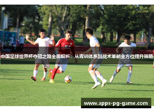 中国足球世界杯夺冠之路全面解析：从青训体系到战术革新全方位提升策略