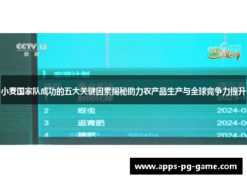 小麦国家队成功的五大关键因素揭秘助力农产品生产与全球竞争力提升