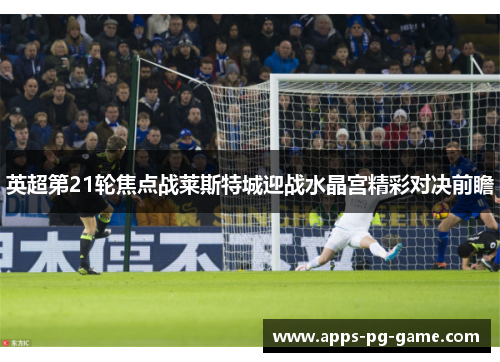英超第21轮焦点战莱斯特城迎战水晶宫精彩对决前瞻